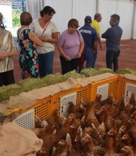 El Ayuntamiento de Gáldar hace entrega de 24.000 kilos de alfalfa y millo a los ganaderos afectados por los incendios · foto 8