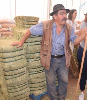 El Ayuntamiento de Gáldar hace entrega de 24.000 kilos de alfalfa y millo a los ganaderos afectados por los incendios · foto 3