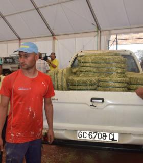 El Ayuntamiento de Gáldar hace entrega de 24.000 kilos de alfalfa y millo a los ganaderos afectados por los incendios · foto 12