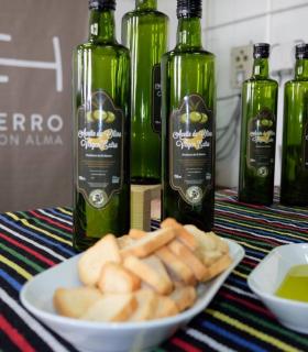 Encuentro del Cabildo de El Hierro con productores y cosecheros de aceite de oliva · foto 3