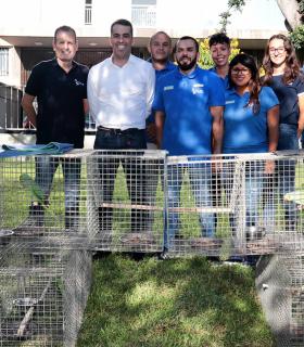 El Ayuntamiento de Santa Cruz de Tenerife inicia una nueva campaña de rescate de cotorras · foto 3