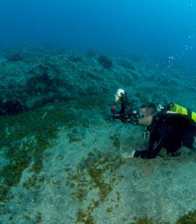 Las condiciones del mar ponen a prueba a los participantes del 23º Open Fotosub isla El Hierro · foto 3