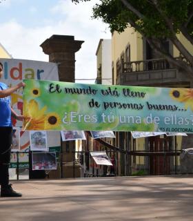 Más de 300 estudiantes de Secundaria realzan en Gáldar el valor de la solidaridad · foto 3