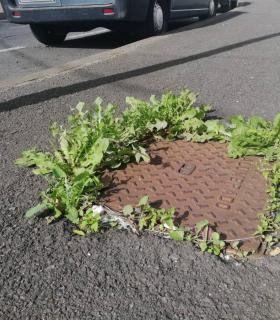San Juan de La Rambla: AIS-CC considera excesivos los sueldos de los y las ediles del gobierno local · foto 1