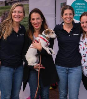 Santa Cruz de Tenerife: 1.115 kilos de pienso, snacks y juguetes donados y tres preadopciones, balance del Día de los Animales · foto 2