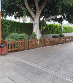 El Ayuntamiento de Tegueste acondiciona y mejora la Plaza del Socorro · foto 4