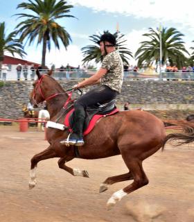 Carrera de sortija a caballo en Tacoronte 2019 · foto 13