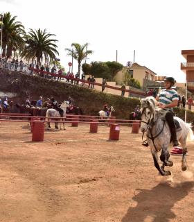 Carrera de sortija a caballo en Tacoronte 2019 · foto 16