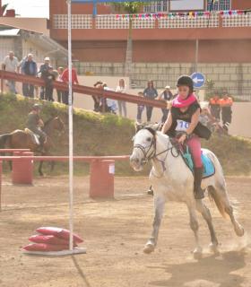 Carrera de sortija a caballo en Tacoronte 2019 · foto 23