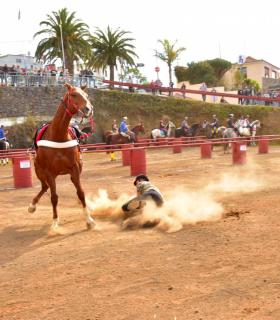 Carrera de sortija a caballo en Tacoronte 2019 · foto 6