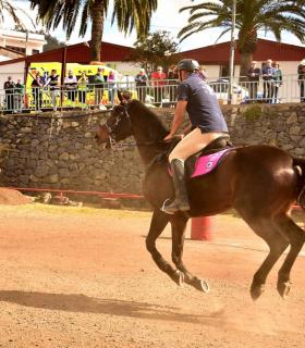 Carrera de sortija a caballo en Tacoronte 2019 · foto 26