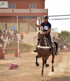 Carrera de sortija a caballo en Tacoronte 2019 · foto 33