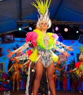 Gala de Elección Reina de la Piñata Chica de Tacoronte. Carnaval 2019 · foto 34