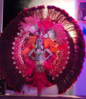 Gala de Elección Reina de la Piñata Chica de Tacoronte. Carnaval 2019 · foto 3