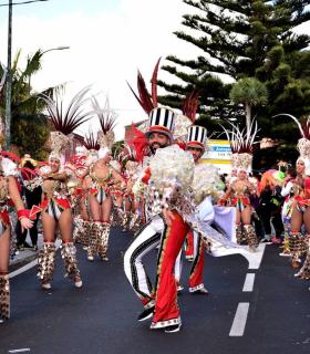 Coso Apoteosis del Carnaval de la Piñata Chica de Tacoronte 2019 · foto 51