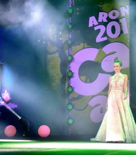 Gala Elección de la Reina del Carnaval Internacional de Los Cristianos · foto 92