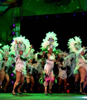 Gala Elección de la Reina del Carnaval Internacional de Los Cristianos · foto 66