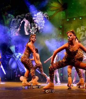 Gala Elección de la Reina del Carnaval Internacional de Los Cristianos · foto 72