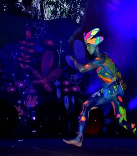 Gala Elección de la Reina del Carnaval Internacional de Los Cristianos · foto 57