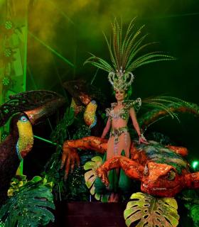 Gala Elección de la Reina del Carnaval Internacional de Los Cristianos · foto 88