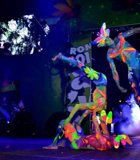 Gala Elección de la Reina del Carnaval Internacional de Los Cristianos · foto 59