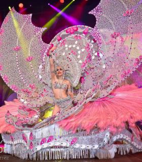 Gala Elección de la Reina del Carnaval Internacional de Los Cristianos · foto 4