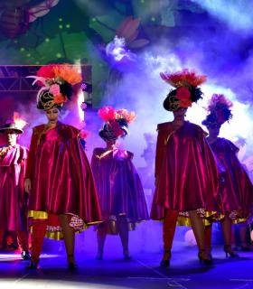 Gala Elección de la Reina del Carnaval Internacional de Los Cristianos · foto 76