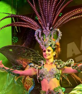 Gala Elección de la Reina del Carnaval Internacional de Los Cristianos · foto 89