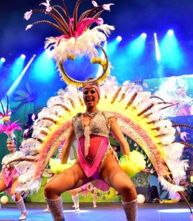 Gala Elección de la Reina del Carnaval Internacional de Los Cristianos · foto 85
