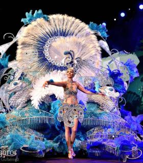 Gala Elección de la Reina del Carnaval Internacional de Los Cristianos · foto 13