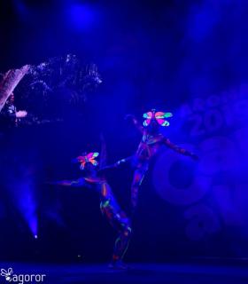 Gala Elección de la Reina del Carnaval Internacional de Los Cristianos · foto 58