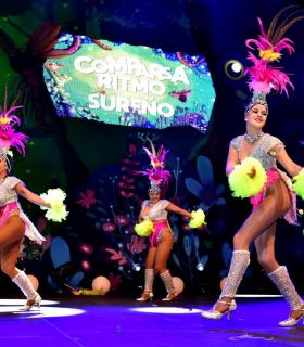 Gala Elección de la Reina del Carnaval Internacional de Los Cristianos · foto 96