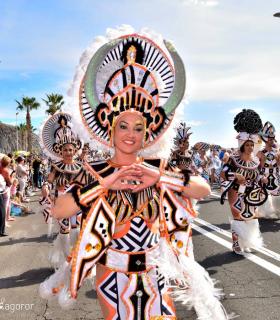 Coso apoteosis del Carnaval Internacional de Los Cristianos 2019 · foto 48