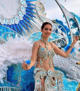 Coso apoteosis del Carnaval Internacional de Los Cristianos 2019 · foto 114
