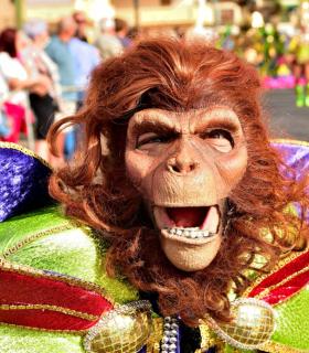 Coso apoteosis del Carnaval Internacional de Los Cristianos 2019 · foto 67