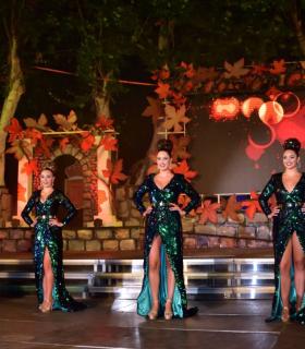 Gala de Arte 2019. Fiestas del Cristo de Tacoronte · foto 56