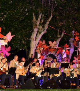 Certamen de elección de la Reina de Mayores 2019 de las Fiestas del Santísimo Cristo de los Dolores de Tacoronte. · foto 47