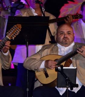 Certamen de elección de la Reina de Mayores 2019 de las Fiestas del Santísimo Cristo de los Dolores de Tacoronte. · foto 49