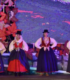 Gala Eleccion de la Reina de la Vendimia 2019. Tacoronte · foto 84