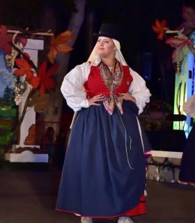Gala Eleccion de la Reina de la Vendimia 2019. Tacoronte · foto 79