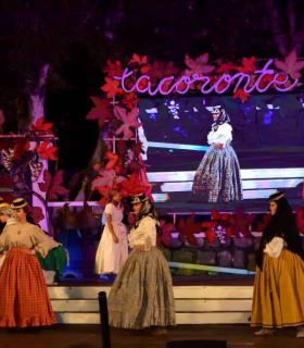 Gala Eleccion de la Reina de la Vendimia 2019. Tacoronte · foto 26