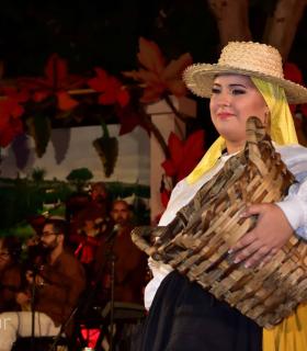 Gala Eleccion de la Reina de la Vendimia 2019. Tacoronte · foto 45