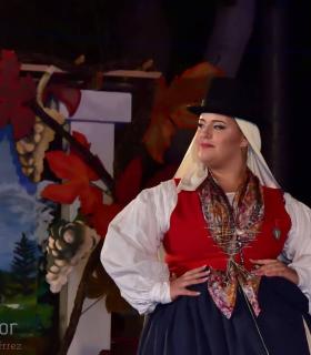 Gala Eleccion de la Reina de la Vendimia 2019. Tacoronte · foto 78