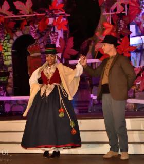 Gala Eleccion de la Reina de la Vendimia 2019. Tacoronte · foto 68