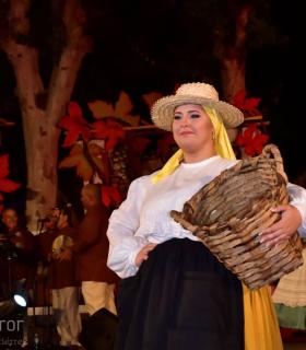 Gala Eleccion de la Reina de la Vendimia 2019. Tacoronte · foto 43