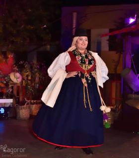 Gala Eleccion de la Reina de la Vendimia 2019. Tacoronte · foto 82