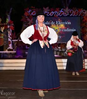 Gala Eleccion de la Reina de la Vendimia 2019. Tacoronte · foto 98