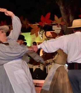 Gala Eleccion de la Reina de la Vendimia 2019. Tacoronte · foto 55