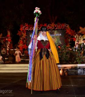 Gala Eleccion de la Reina de la Vendimia 2019. Tacoronte · foto 2