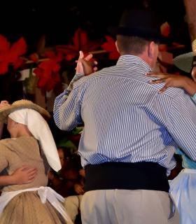 Gala Eleccion de la Reina de la Vendimia 2019. Tacoronte · foto 53